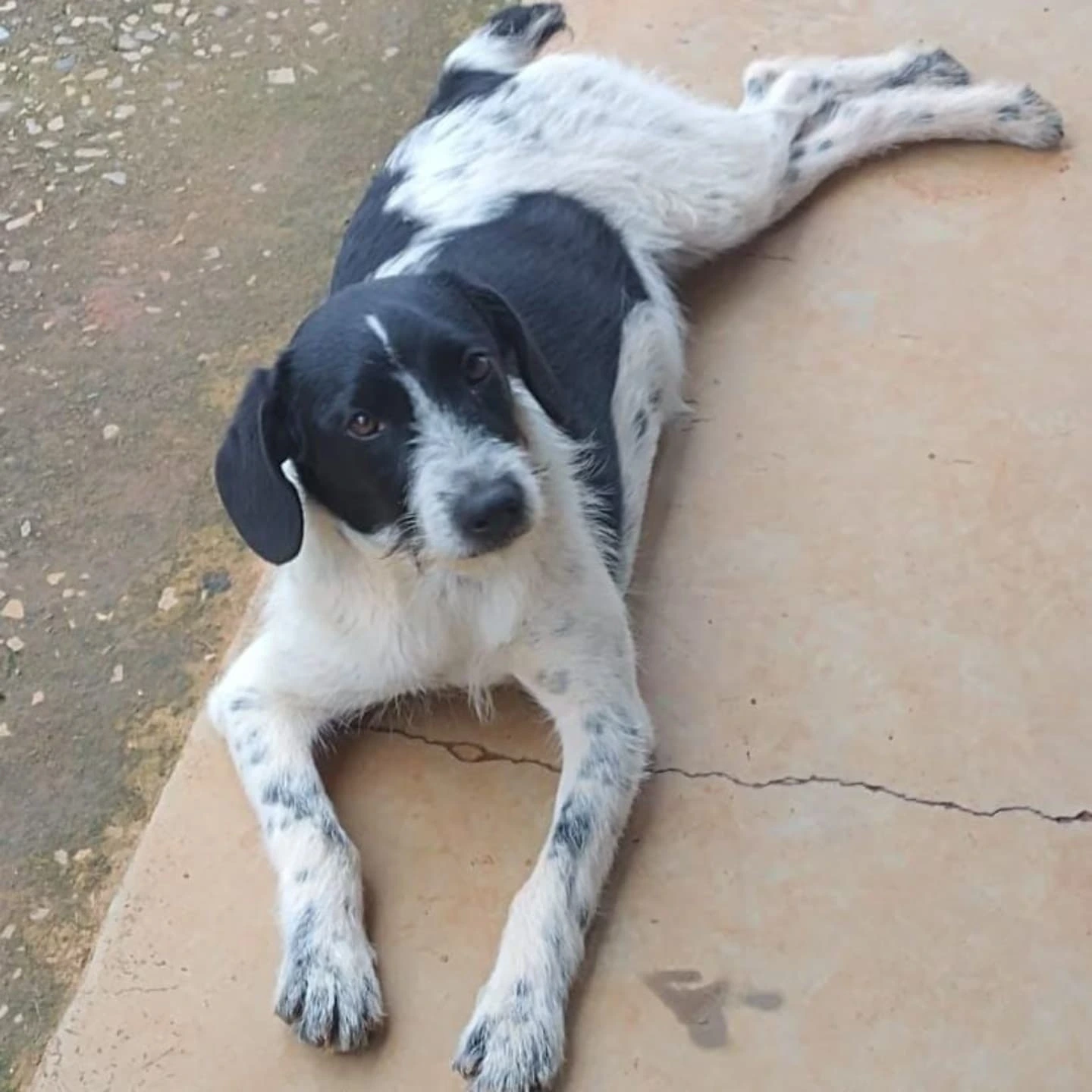 Foto da Mabel